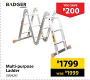Badger Multi Purpose Ladder