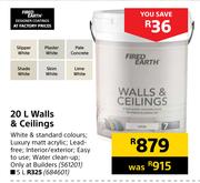 Fired Earth Walls & Ceilings-5L