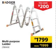Badger Multi Purpose Ladder