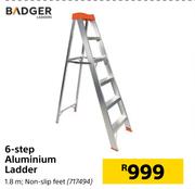 Badger 6-Step Aluminium Ladder
