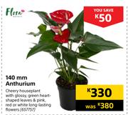 Flora 140mm Anthurium