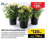 Flora 140mm Chrysanthemum-Each