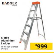 Badger 6 Step Aluminium Ladder