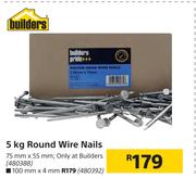 Builders Round Wire Nails 480388-5Kg
