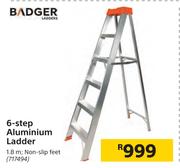 Badger  6-Step Aluminium Ladder 717494