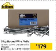 Builders 5Kg Round Wire Nails 100mm x 4mm