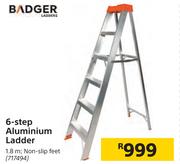 Badger 6 Step Aluminium Ladder