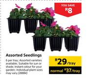 Assorted Seedlings-6 Per Tray