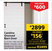 Caroline Grooved Barn Door 664090
