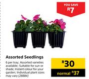 Assorted Seedlings-6 Per Tray