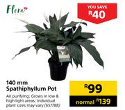 Flora 140mm Spathiphyllum Pot