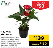 Flora 140mm Anthurium