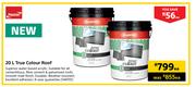Plascon True Colour Roof-20L Each