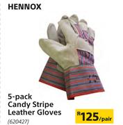 Hennox 5 Pack Candy Stripe Leather Gloves-Per Pair