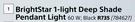 Bright Star 1 Light Deep Shade Pendant Light