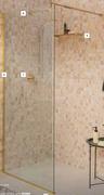 Shower Screen & Extended Arm 900mm x 2m