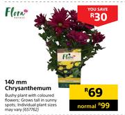 Flora 140mm Chrysanthemum 657762