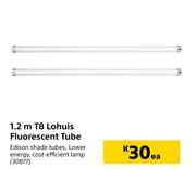 1.2m T8 Lohuis Fluorescent Tube-Each
