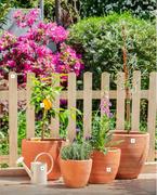 2.4L Watering Can Cream