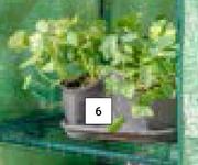 300mm Coubi Herb Pot