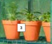 Round Pot 190mm x 220mm