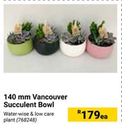 140mm Vancouver Succulent Bowl 768248-Each
