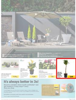 Builders : Summer Memories Are Made Of This (28 November - 01 January 2024), page 13