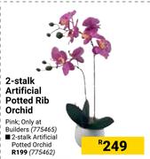 2-Stalk Artificial Potted Rib Orchid 775465