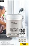 Fire Earth Walls & Ceilings-20L