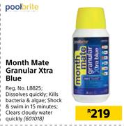 Pool brite Month Mate Granular Extra Blue