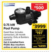Blue Chem 0.75 KW Pool Pump