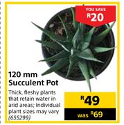 120mm Succulent Pot
