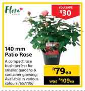 Flora 140mm Patio Rose-Each