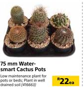 75mm Water Smart Cactus Pots-Each