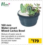 Flora 160mm Water Smart Mixed Cactus Bowl