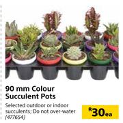 90mm Colour Succulent Pots-Each