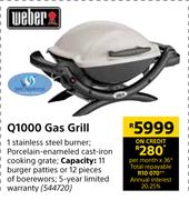 Weber Q100 Gas Grill