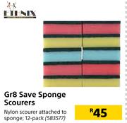 Ethnix Gr8 Save Sponge Scourers-12 Per Pack
