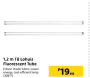 1.2m T8 Lohuis Fluorescent Tube-Each