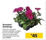 Assorted Seedlings