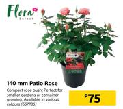 Flora 140mm Patio Rose