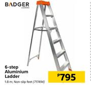 Badger 6 Step Aluminium Ladder