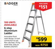 Badger 6-Step Aluminium Ladder