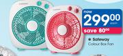 Safeway Colour Box Fan-Each