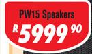 DXN Pro 15" DJ/PA Speakers Pair PW15