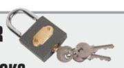 Beyer Iron Padlocks With Brass Cylinder IPL50-50mm