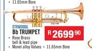 Sanchez Bb Trumpet STRM300G