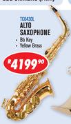 Sanchez Alto Saxophone TC6430L