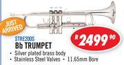 Sanchez Bb Trumpet STRE200S