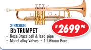 Sanchez Bb Trumpet STRM300G